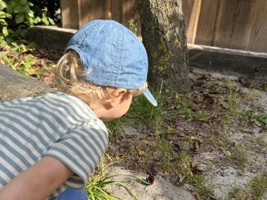 Barn der kigger på en sommerfugl 