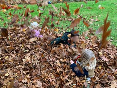 Børn der leger i en bunke blade 
